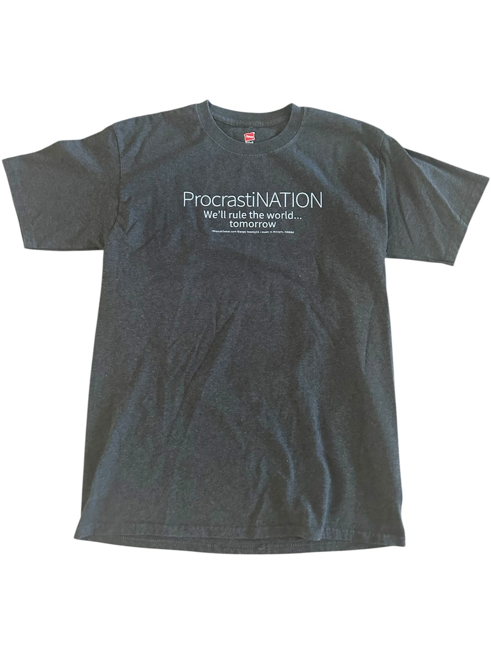 Hanes Procrastination Tshirt (M)